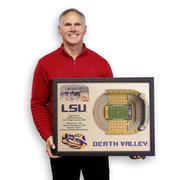 LSU Tiger Stadium Wall Art